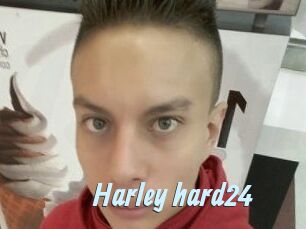 Harley_hard24