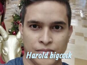 Harold_bigcock