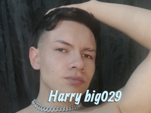 Harry_big029