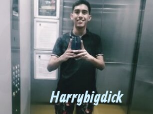 Harrybigdick