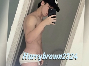 harrybrown2324 Gay Sex Prev