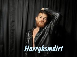 Harrybsmdirt