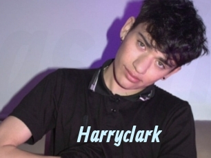 harryclark Gay Sex Prev