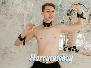 Harrycuteboy