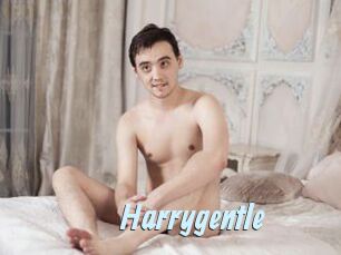 Harrygentle