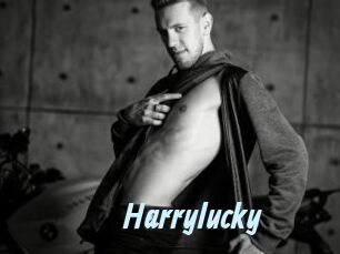 Harrylucky