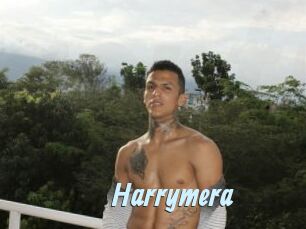 Harrymera