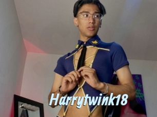 harrytwink18 Gay Sex Prev