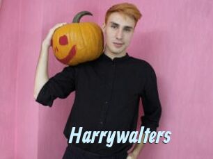 Harrywalters