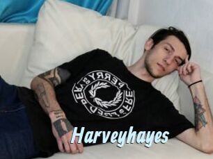 Harveyhayes