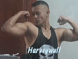 Harveywull