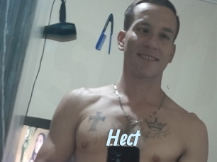 Hect