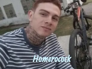 homerocock Gay Sex Prev
