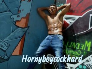 Hornyboycockhard