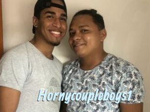 Hornycoupleboys1