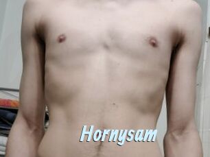 Hornysam