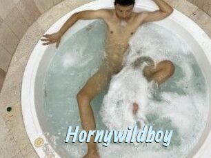 Hornywildboy