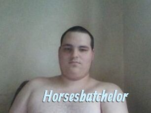Horsesbatchelor