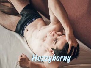 hozzyhorny Gay Sex Prev
