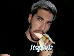 Itsgelviz