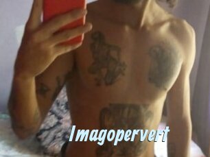 Imagopervert