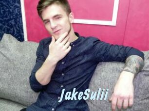 JakeSulii