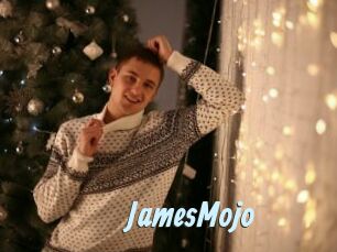JamesMojo Gay Sex Prev
