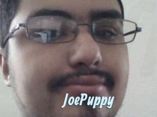 JoePuppy