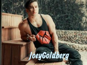 JoeyGoldberg Gay Sex Prev