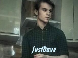 Just_Dave Gay Sex Prev