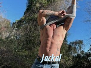 Jackal