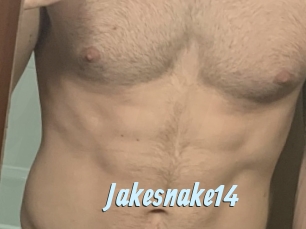 Jakesnake14