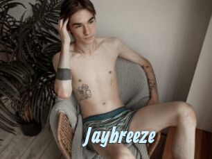 Jaybreeze