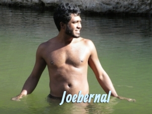 Joebernal