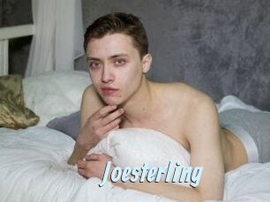 Joesterling