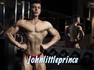 Johnlittleprince
