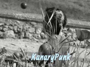 KanaryPunk