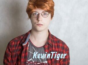 KevinTiger