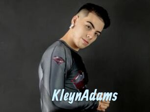 KleynAdams Gay Sex Prev