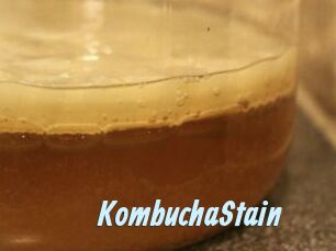 KombuchaStain