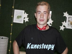 Kanesteepy