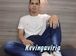 Kevingaviria