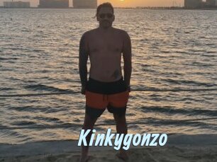Kinkygonzo