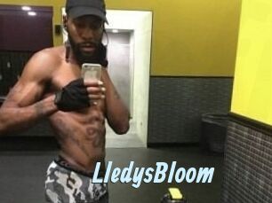 Lledys_Bloom