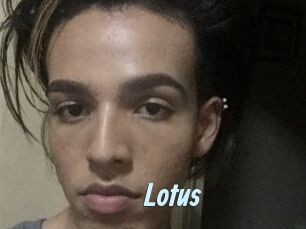 Lotus Gay Sex Prev