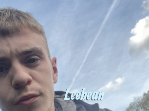 leebean Gay Sex Prev