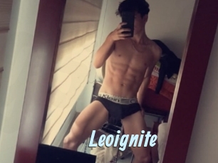Leoignite
