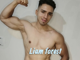 Liam_forest