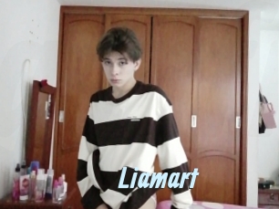 Liamart