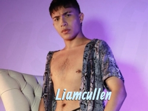 liamcullen Gay Sex Prev